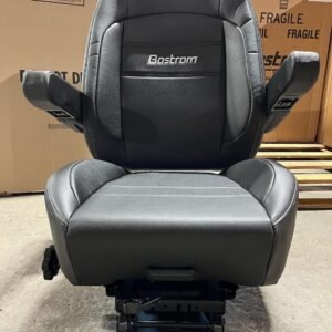 Bostrom seats $500